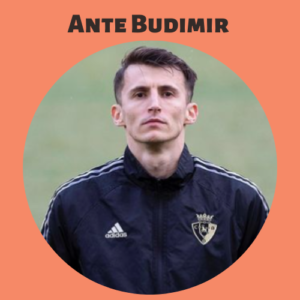 Ante Budimir
