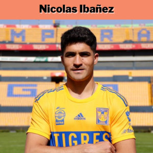 Nicolas Ibañez