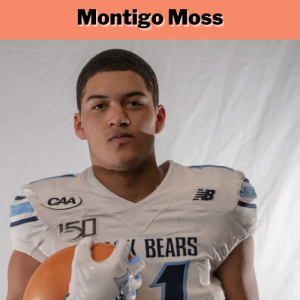 Montigo Moss