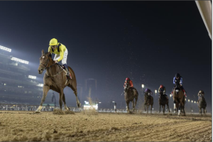 How Trainers Use Indian Horse Race Fixtures To Prepare Horses